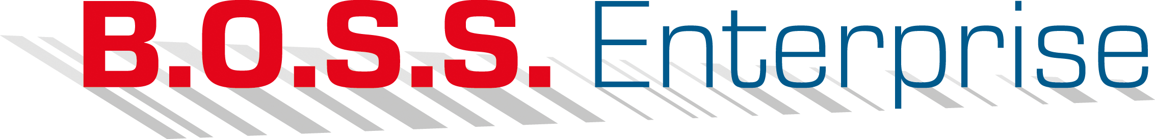 Logo B.O.S.S. Enterprise